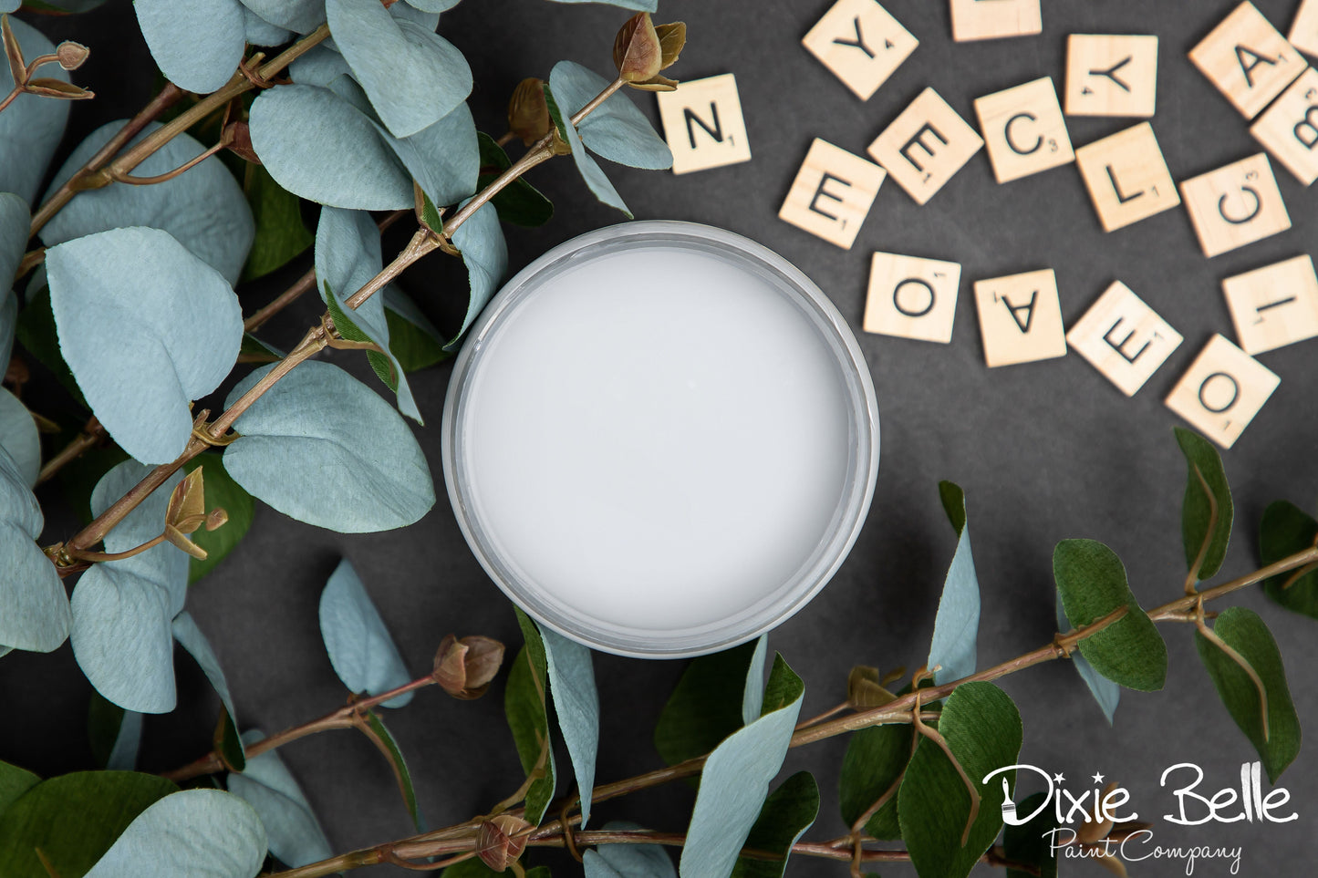 Dixie Belle Chalk Mineral Paint – Manatee Gray