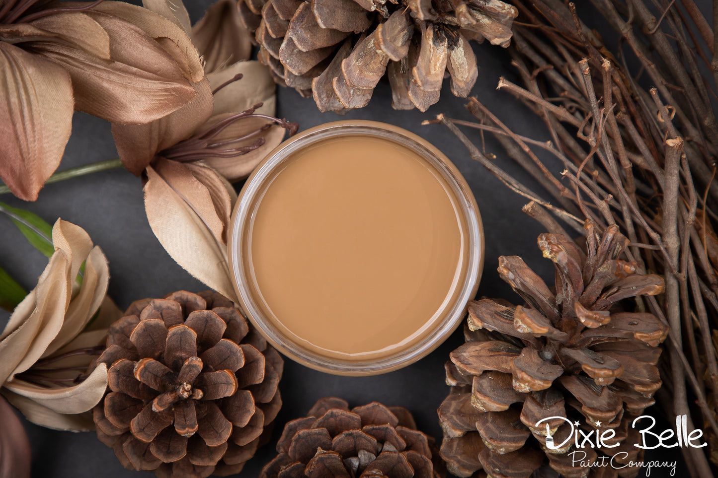 Dixie Belle Chalk Mineral Paint – Pine Cone