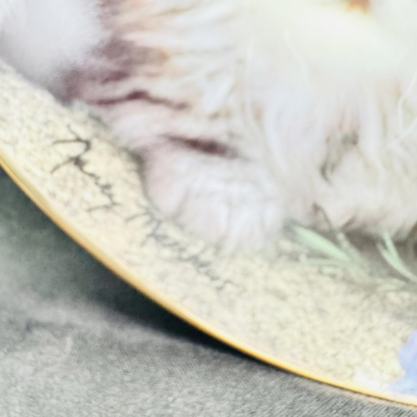 Franklin Mint Collectors Decorative Plates Cozy Companions Kitty Cats Set Of 6