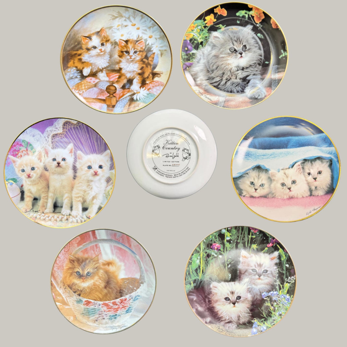 Franklin Mint Collectors Decorative Plates Cozy Companions Kitty Cats Set Of 6