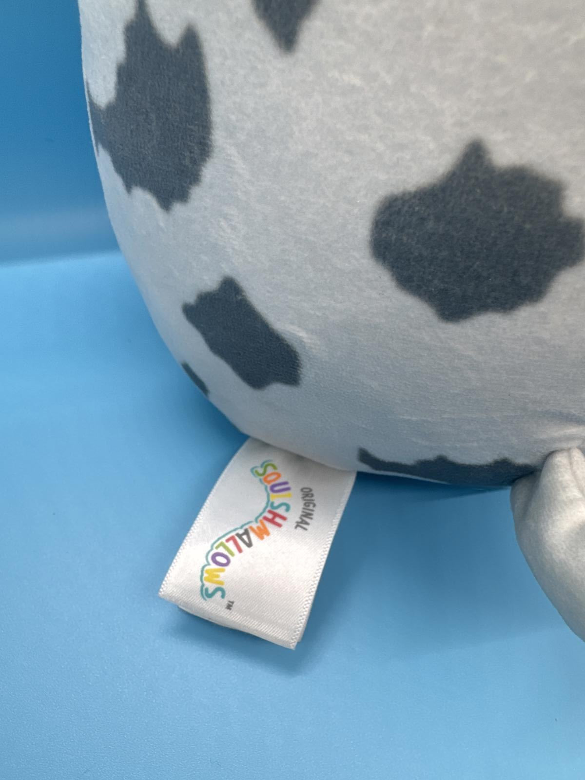 Squishmallow Raylor Austrailian Sheppard 7.5" Plush Toy Collectable