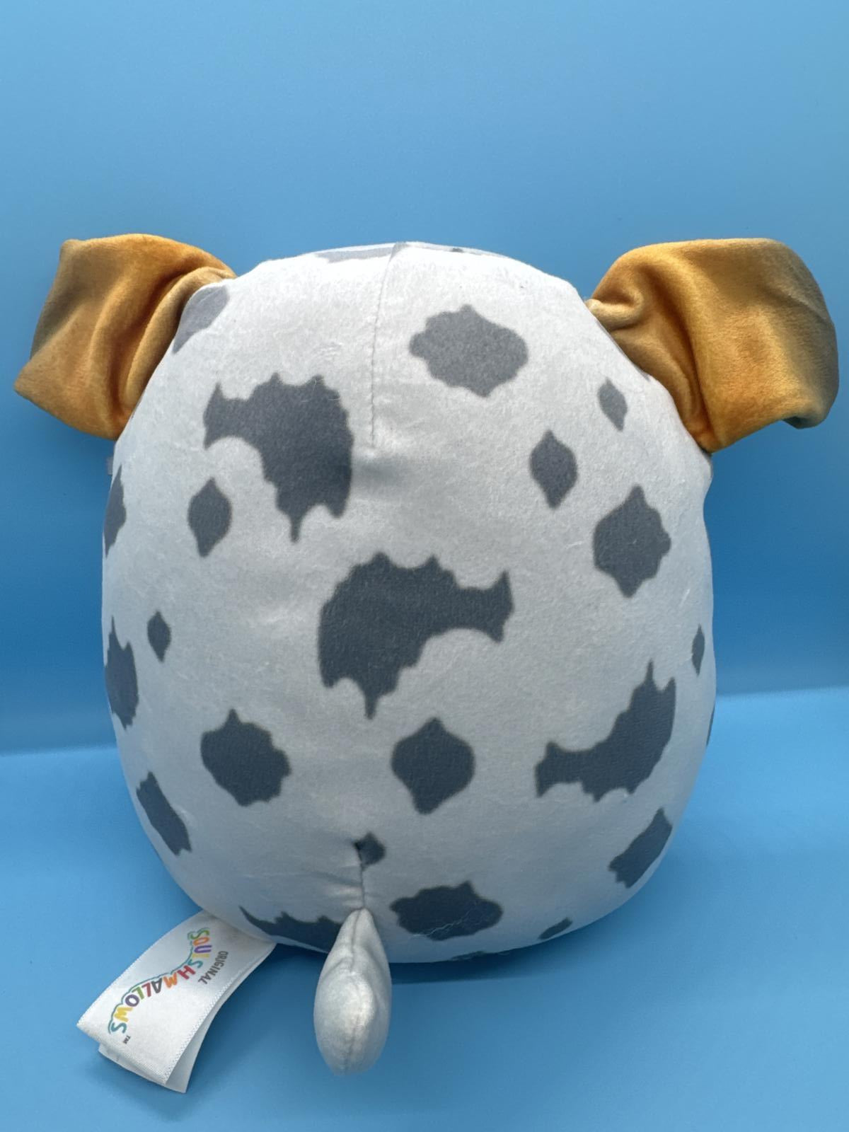 Squishmallow Raylor Austrailian Sheppard 7.5" Plush Toy Collectable