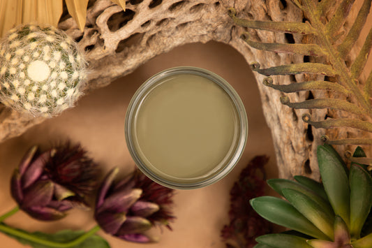 Dixie Belle Silk Mineral Paint – Cactus