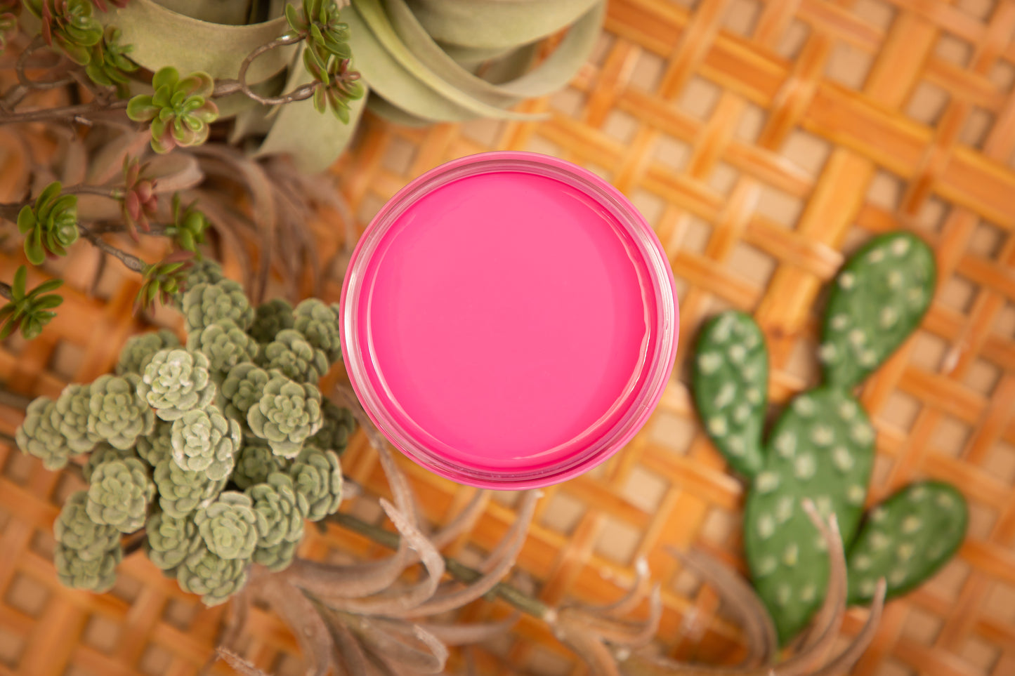 Dixie Belle Silk Mineral Paint – Prickly Pear