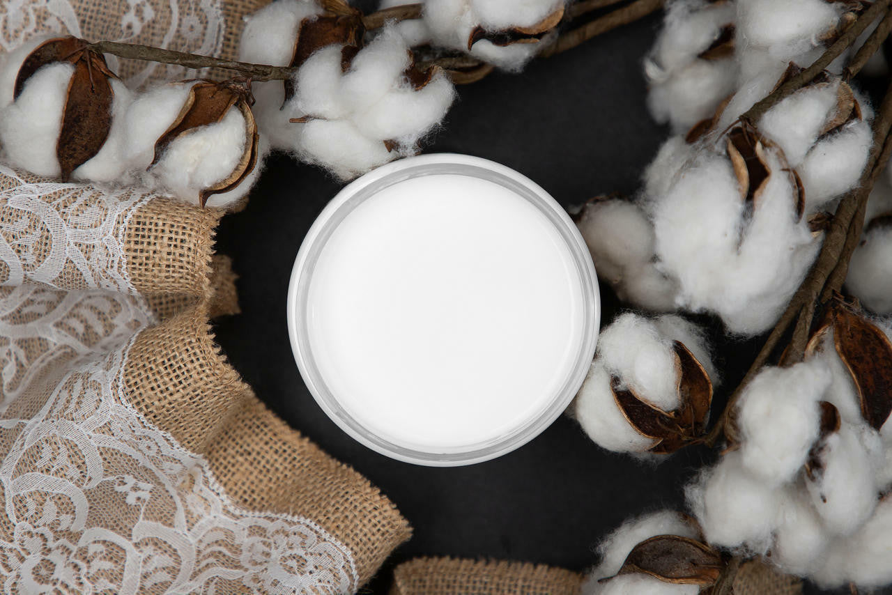 Dixie Belle Chalk Mineral Paint – Cotton