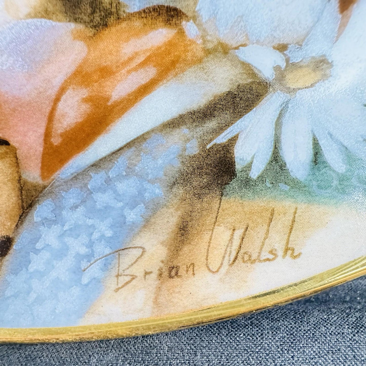 Franklin Mint Collectors Decorative Plates Cozy Companions Kitty Cats Set Of 6